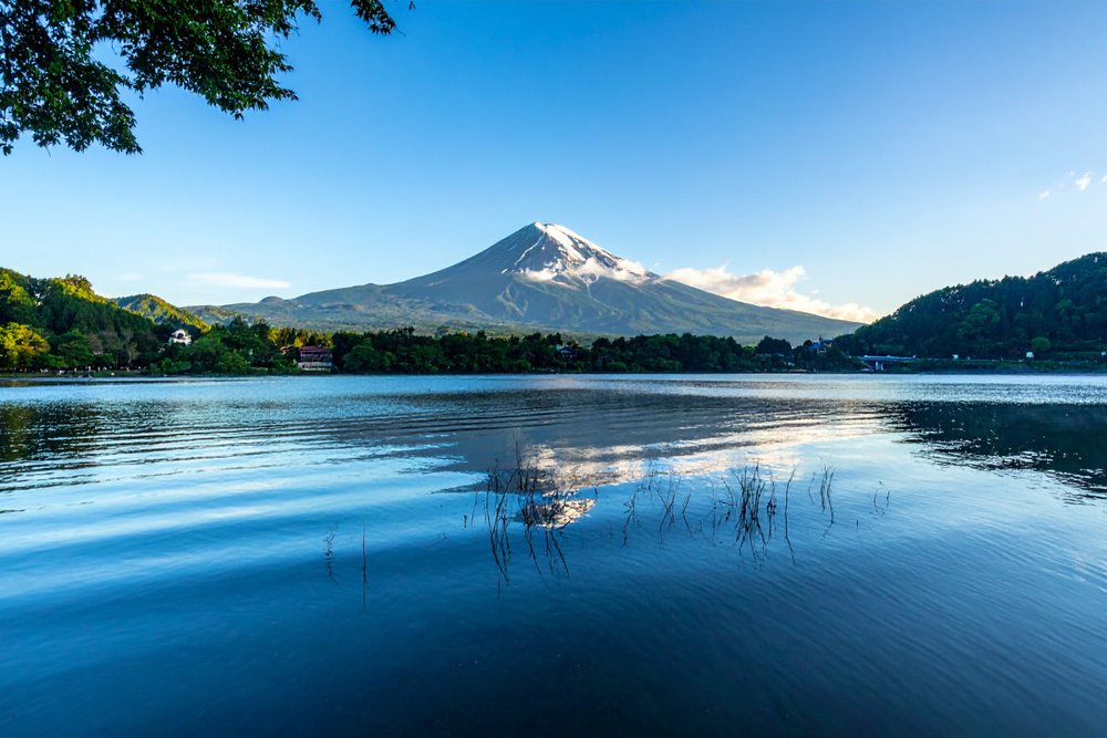 Hồ Kawaguchi – Điểm Đến Dễ Đi Nhất & Đẹp Nhất