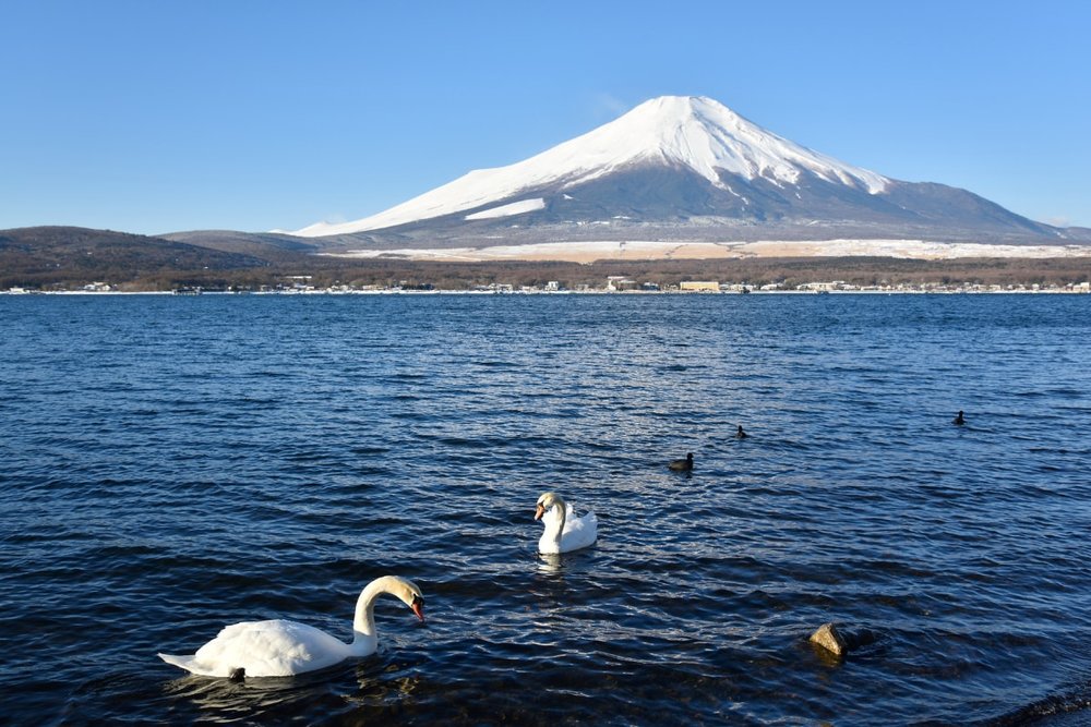 Hồ Yamanaka Hay Yamanakako - Hồ Rộng Nhất Trong Ngũ Hồ 