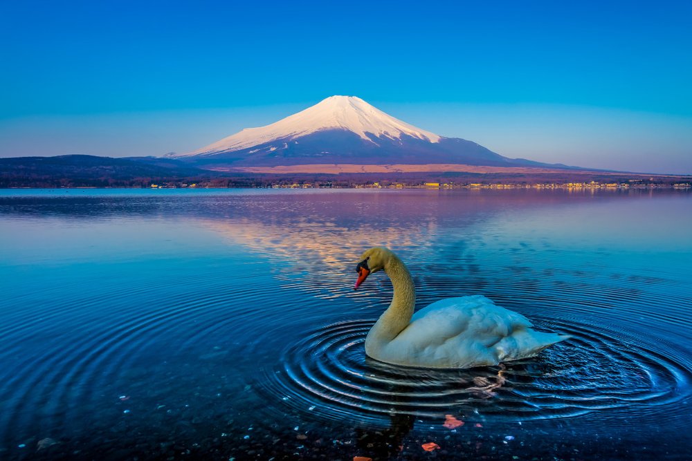 Cách Đi Đến Hồ Yamanaka, Núi Phú Sĩ