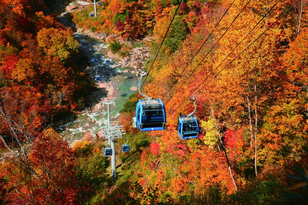 越後湯澤自由行, 越後湯澤一日遊, 越後湯澤景點, 苗場山及Dragondola纜車