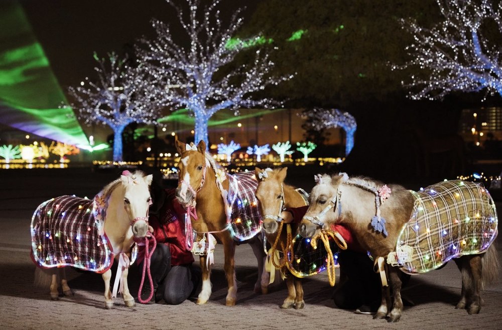 東京聖誕燈飾, 大井競馬場燈光秀