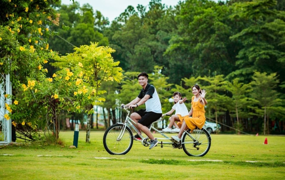  Đạp Xe Hoặc Đi Dạo Quanh Rừng Thông