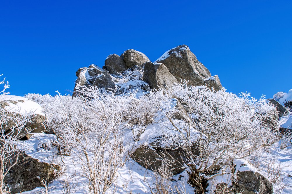 Chiêm Ngưỡng Cảnh Quan Hùng Vĩ Của Seoraksan Mùa Tuyết Phủ