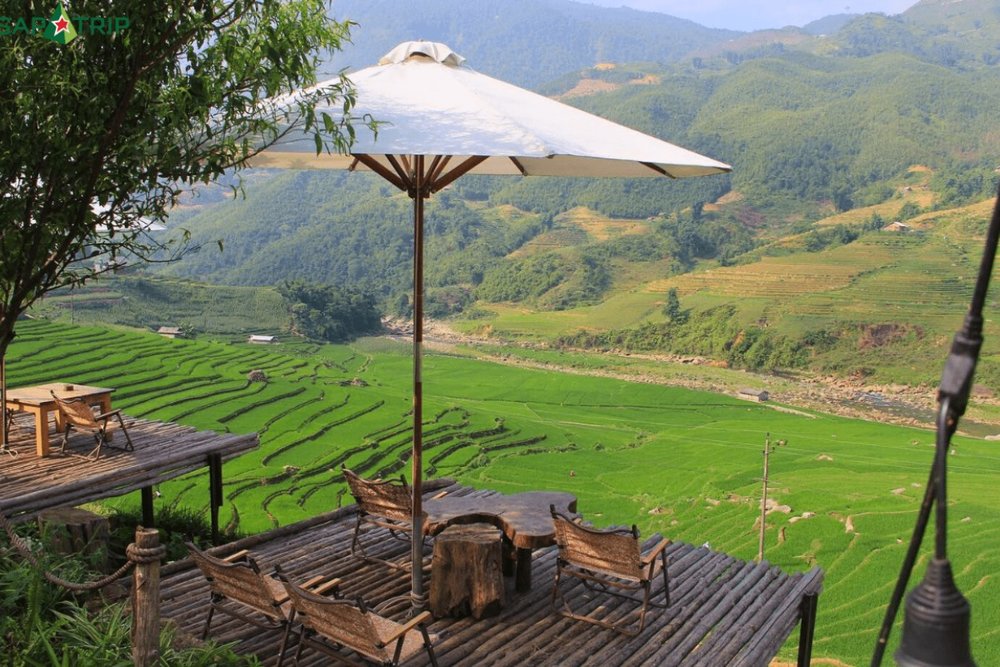 Sailing Sapa - Quán Café 'Du Thuyền Trên Mây', Góc Check-in Độc Đáo Giữa Biển Sương