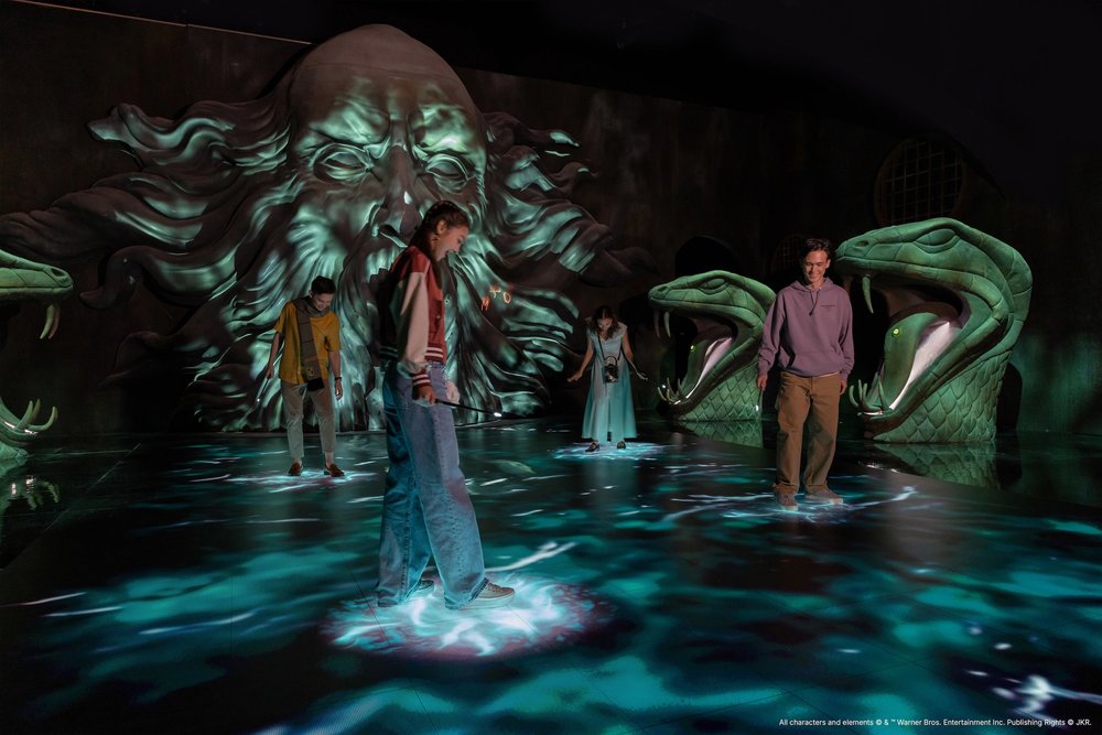 SG - harry potter visions of magic