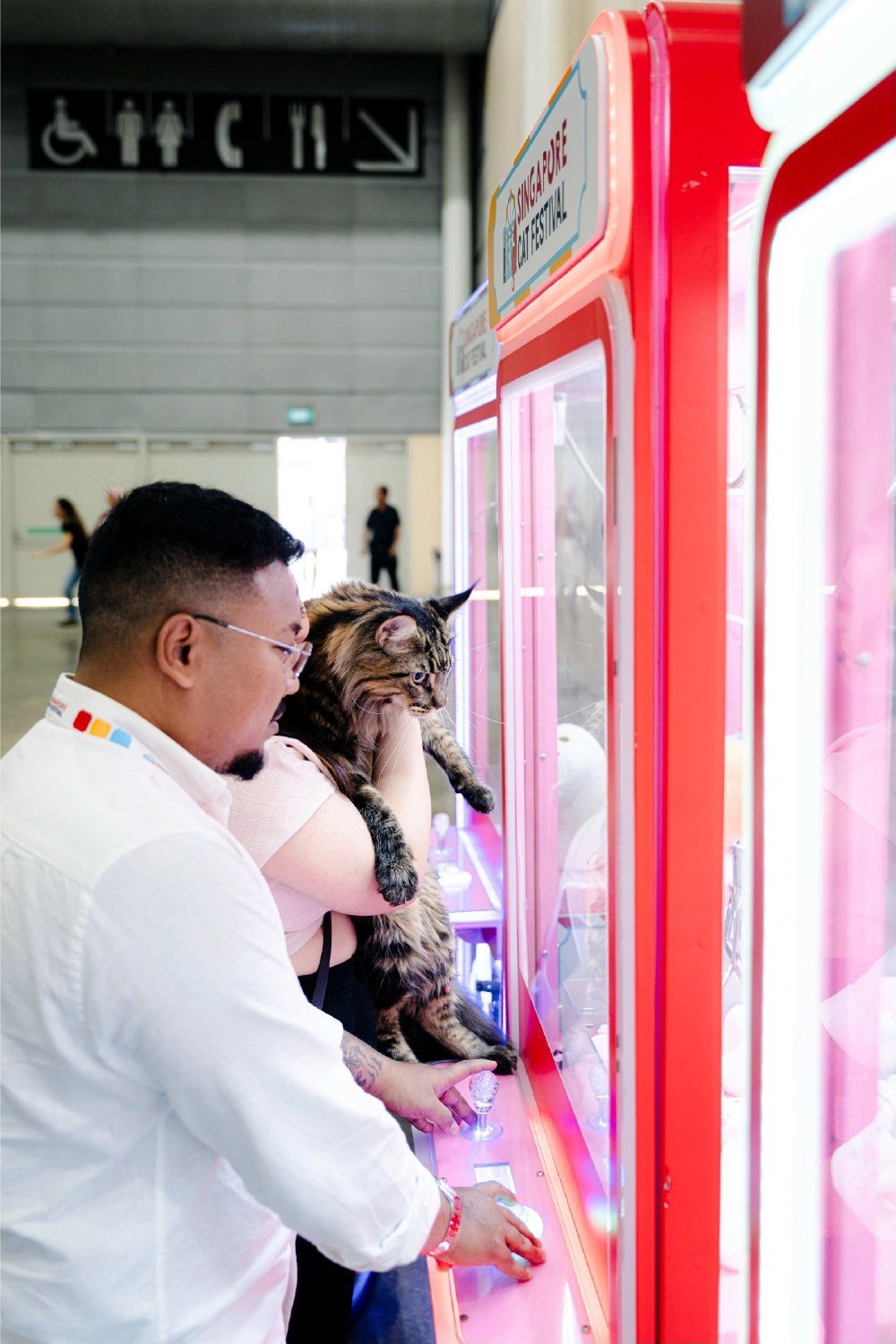 sg - singapore cat festival