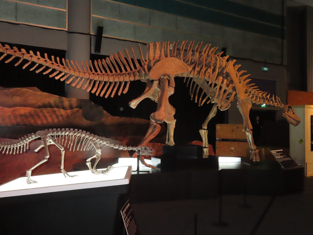 sg - science centre dinosaurs