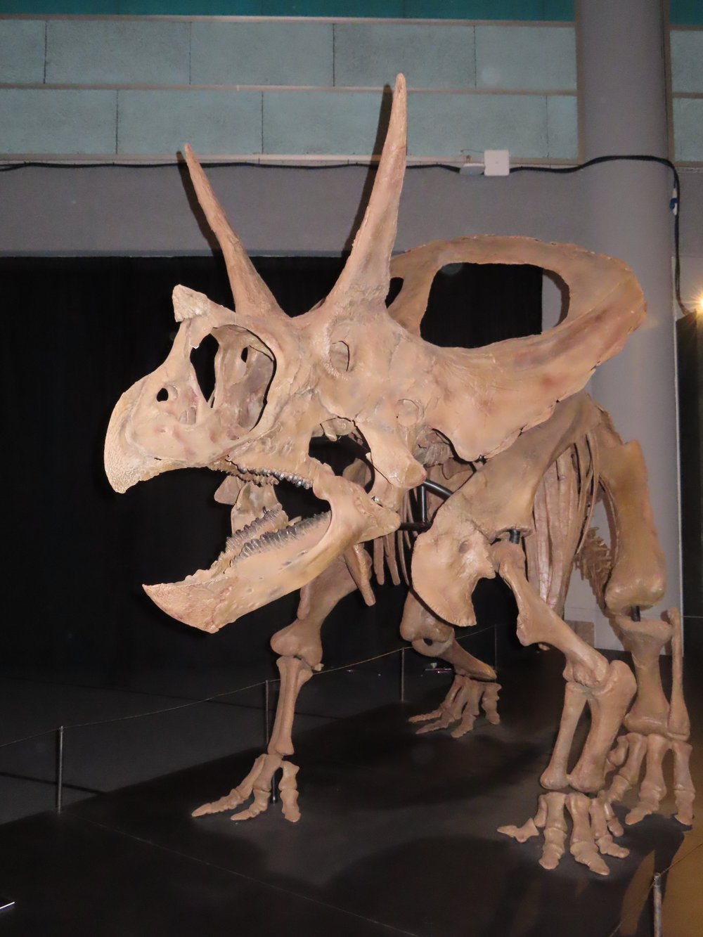 sg - science centre dinosaurs