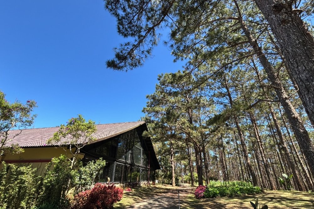 Khám Phá Bảo Tàng Trà Cổ: Dấu Ấn Lịch Sử Trăm Năm Của Cầu Đất