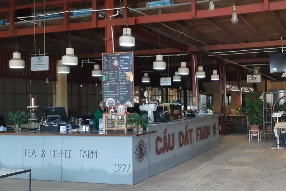 Thưởng Thức Hương Vị Trà Tươi Ngon Tại Cầu Đất Farm