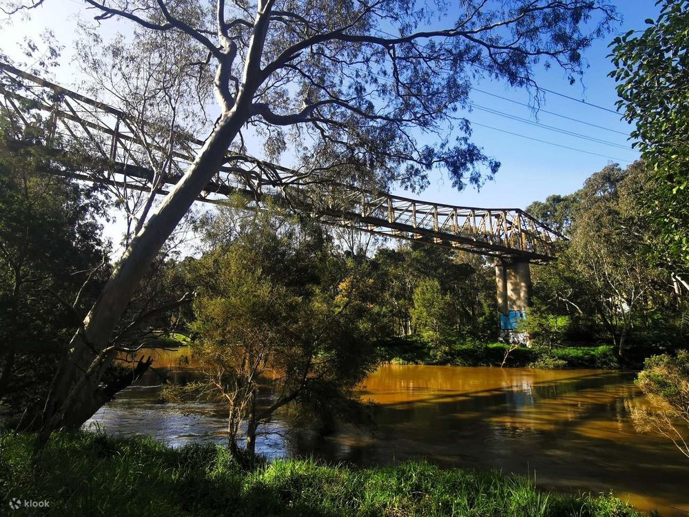 A bridge hanging above the Yarra River at the Yarra Bend Park