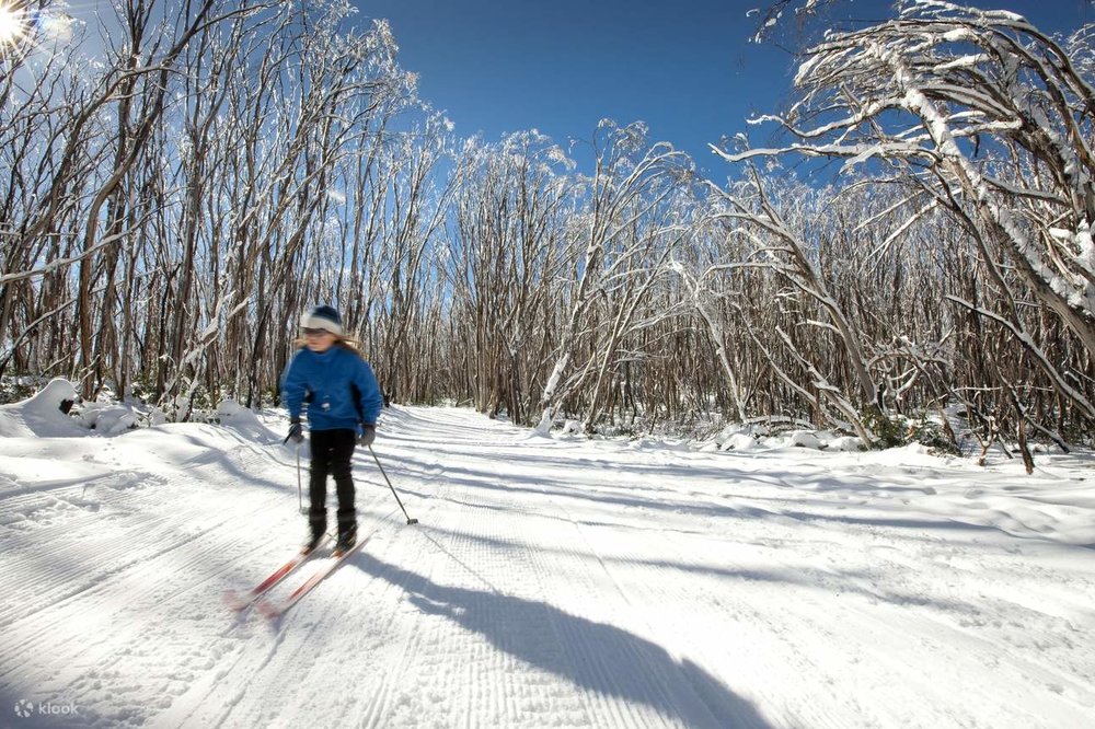 A child skiing down Lake Mountain
