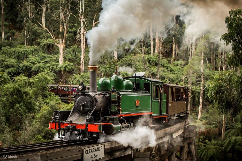 The Puffing Billy passing over the Trestle Bridge
