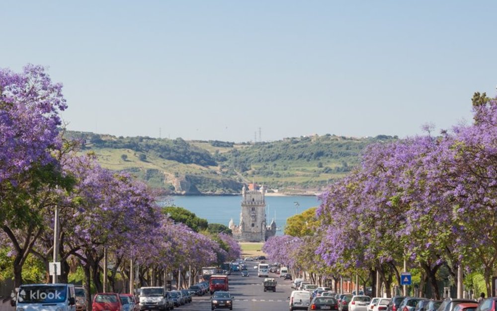 Belém Tower and blooming purple Jacaranda trees on a sunny day in Lisbon