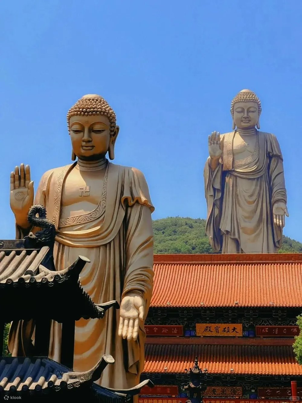 day trips to shanghai: wuxi lingshan buddha