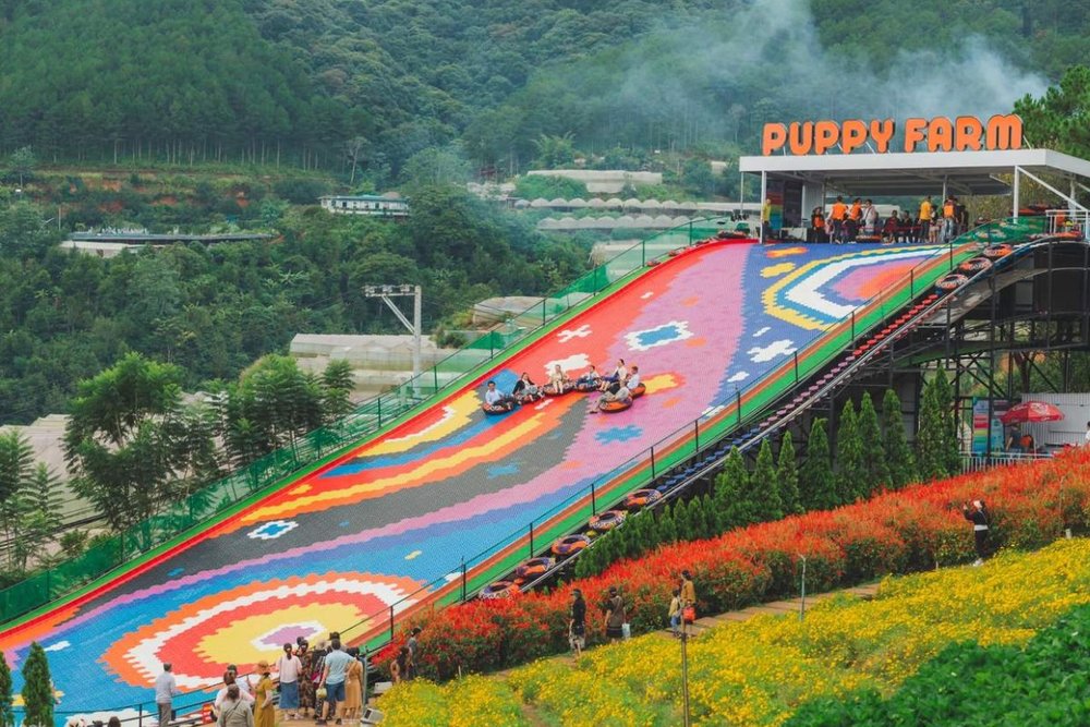 Chiều: Vui Chơi Tại Trang Trại Cún & Vườn Dâu