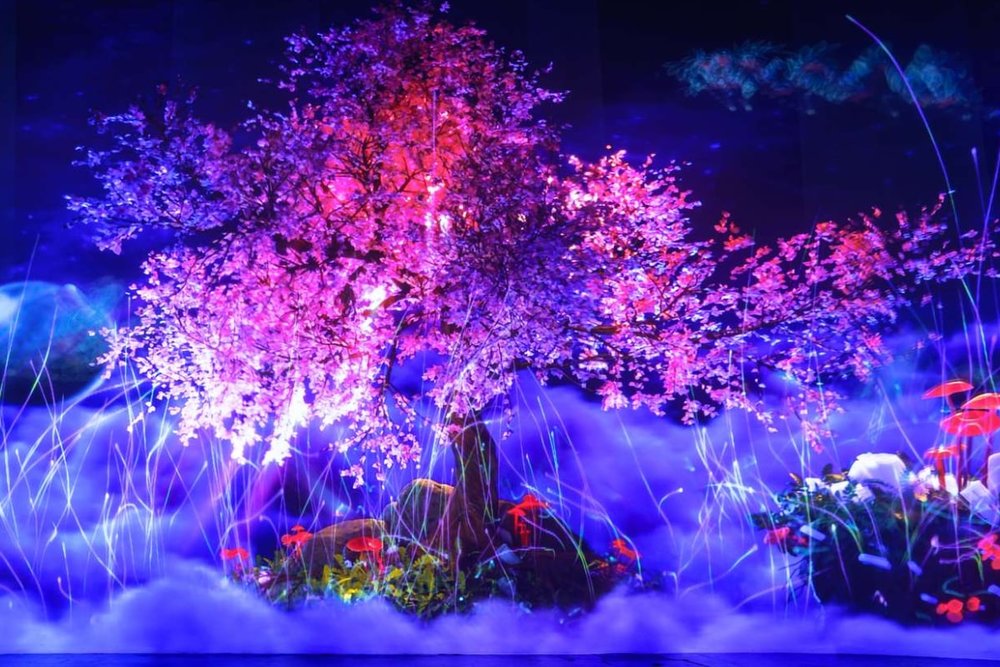 Tối: Thưởng Thức Nghệ Thuật Ánh Sáng Tại Lumiere Đà Lạt