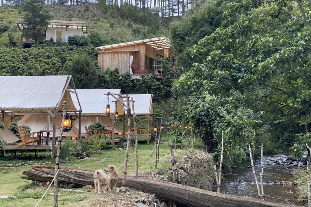 Twin Beans Farm - Farmstay & Khu Glamping Hàng Đầu Lâm Đồng