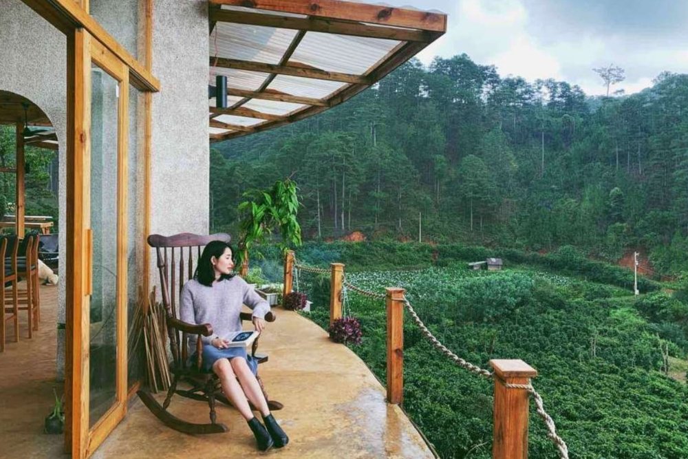 Twin Beans Farm - Farmstay & Khu Glamping Hàng Đầu Lâm Đồng