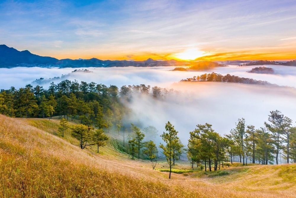  Thung Lũng Vàng - Địa Điểm Cắm Trại Siêu HOT Ở Đà Lạt