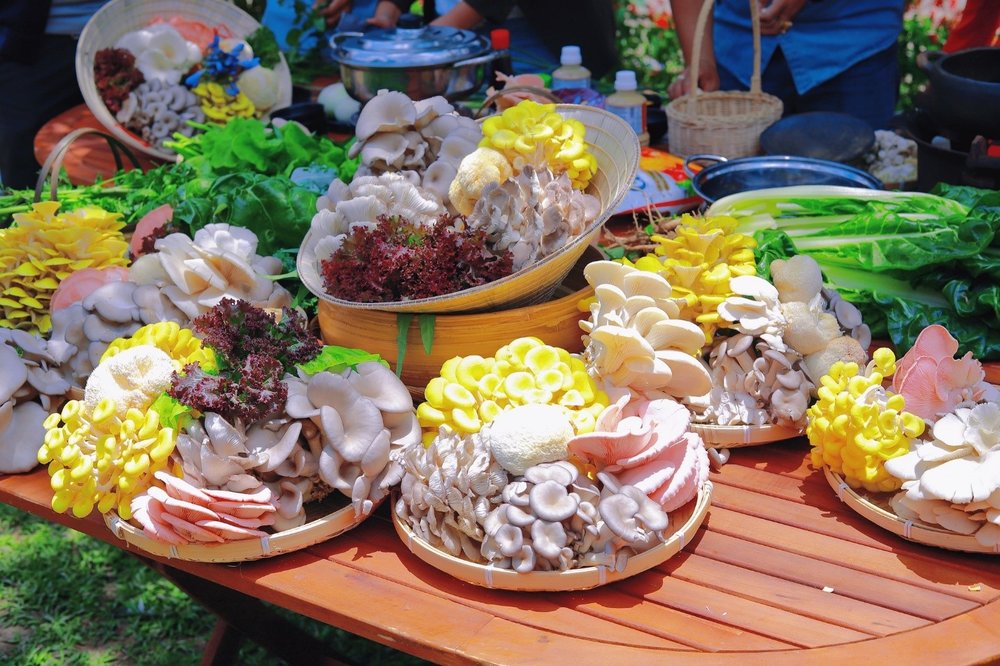 Làng Nấm Đà Lạt