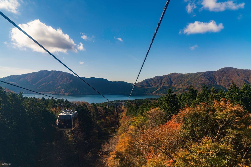 Lựa Chọn Điểm Nhận Vé Tại Ga Shinjuku Hoặc Ga Odawara Thuận Tiện Thế Nào?