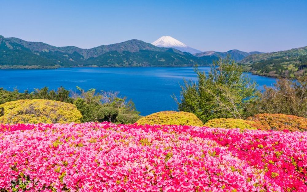 Lịch Trình 2 Ngày Phá Hakone