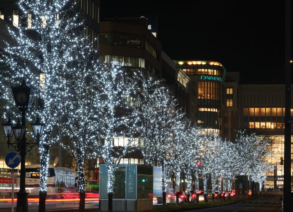 北海道聖誕節, 北海道聖誕燈飾, 北海道聖誕市集, 札幌白色燈樹節