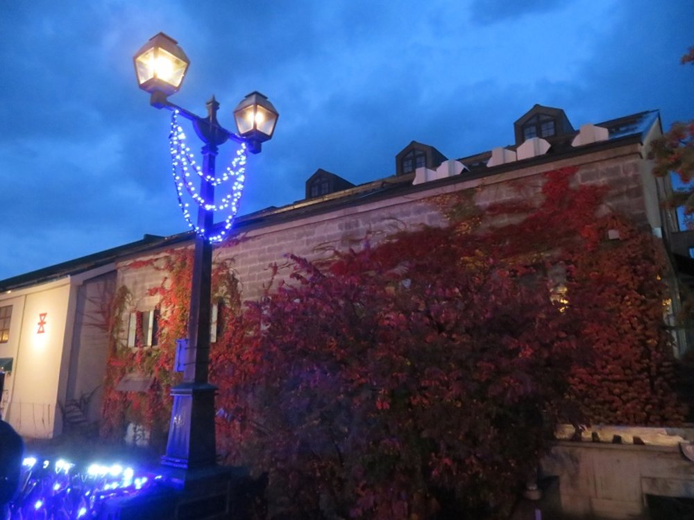 小樽聖誕燈飾, 北海道聖誕節, 北海道聖誕燈飾, 北海道聖誕市集, 小樽運河點燈