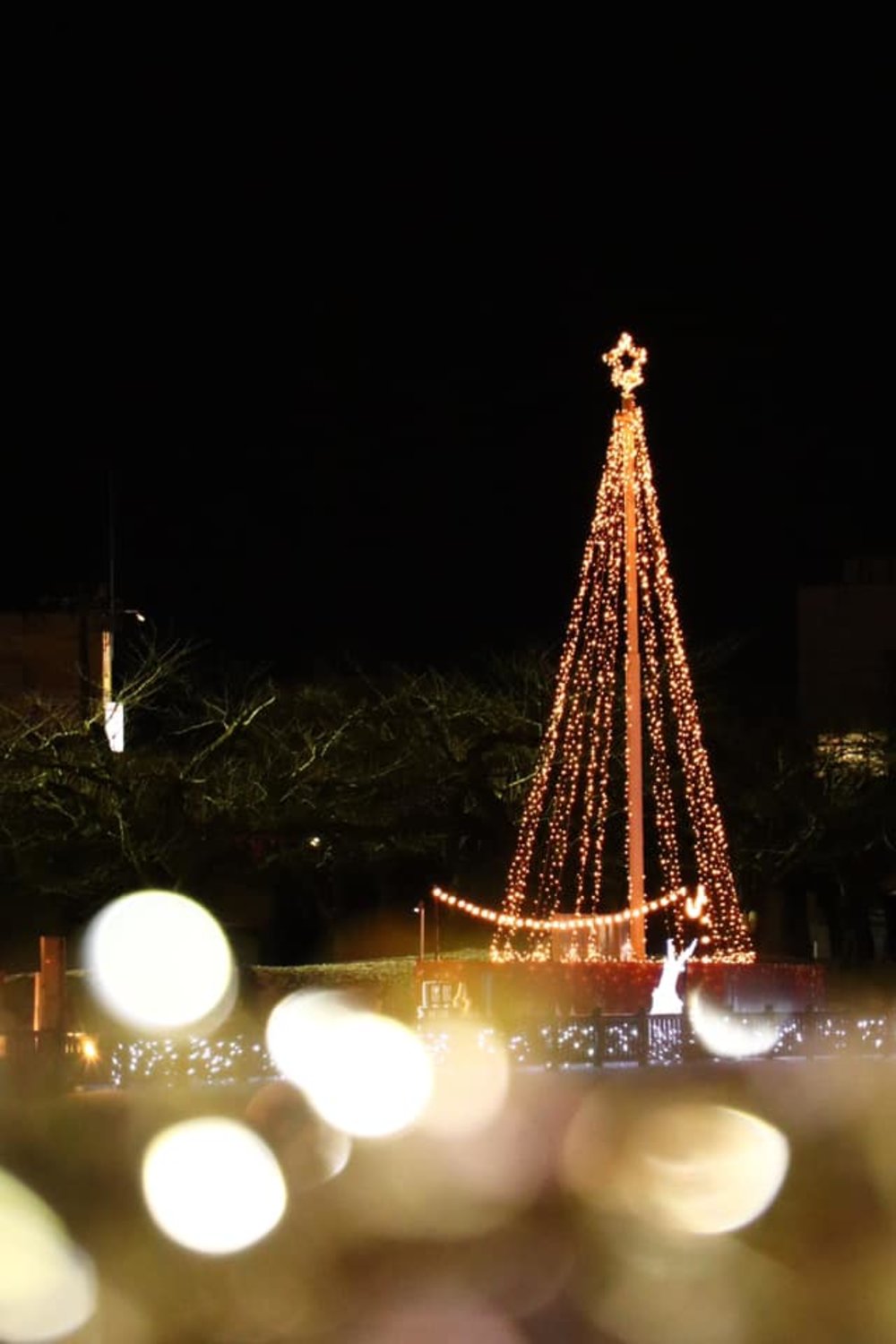 函館聖誕燈飾, 北海道聖誕節, 北海道聖誕燈飾, 北海道聖誕市集, 五稜星之夢彩燈
