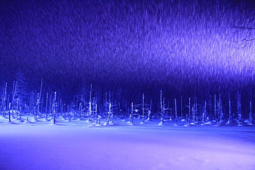 美瑛聖誕燈飾, 北海道聖誕節, 北海道聖誕燈飾, 北海道聖誕市集, 白金青池點燈