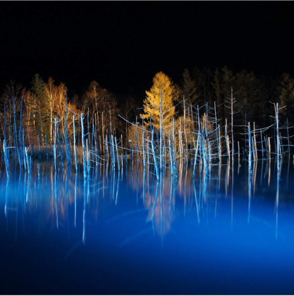 美瑛聖誕燈飾, 北海道聖誕節, 北海道聖誕燈飾, 北海道聖誕市集, 白金青池點燈