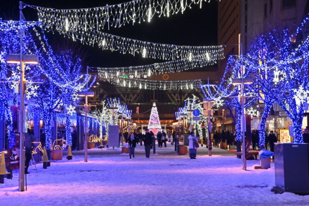 旭川聖誕燈飾, 北海道聖誕節, 北海道聖誕燈飾, 北海道聖誕市集, 旭川雪之輪