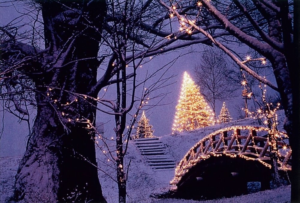 廣尾聖誕燈飾, 北海道聖誕節, 北海道聖誕燈飾, 北海道聖誕市集, 廣尾聖誕樂園