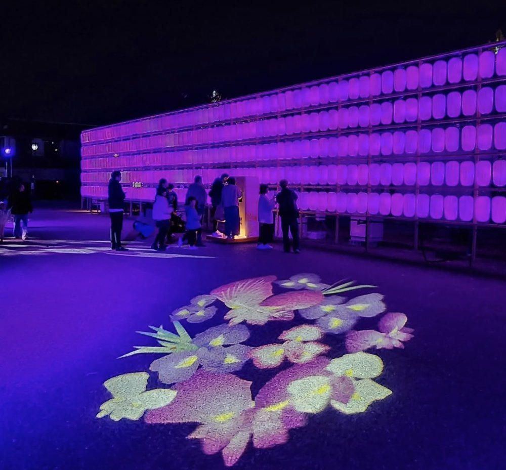 Himeji大手前通りイルミネーション官網, 大阪聖誕燈飾