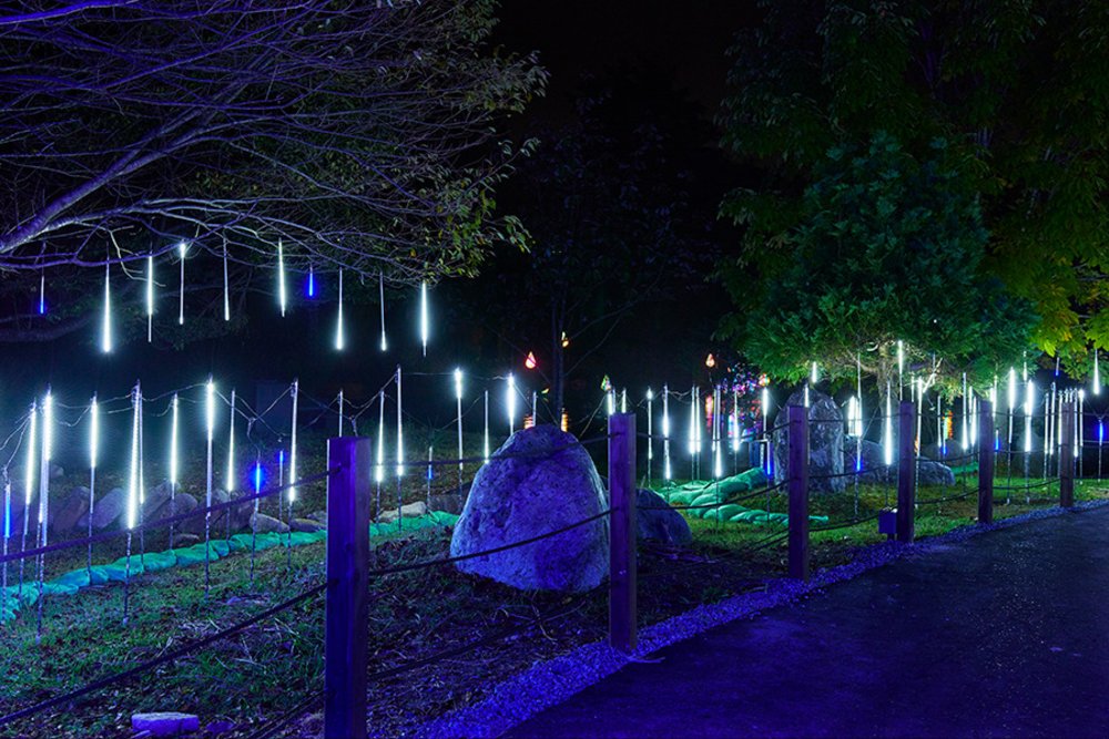 京都 ILLUMIERE Synesthesia Hills