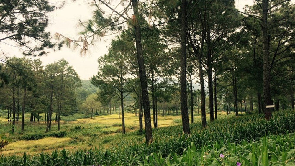 dia-diem-du-lich-tay-bac