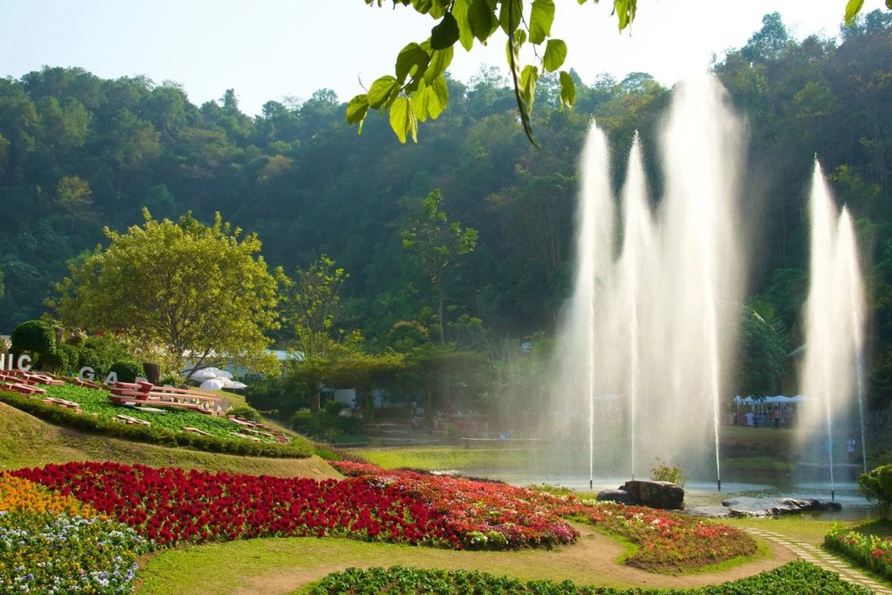  Thưởng Thức Cà Phê Trên Núi Ở Mae Rim Hoặc Samoeng