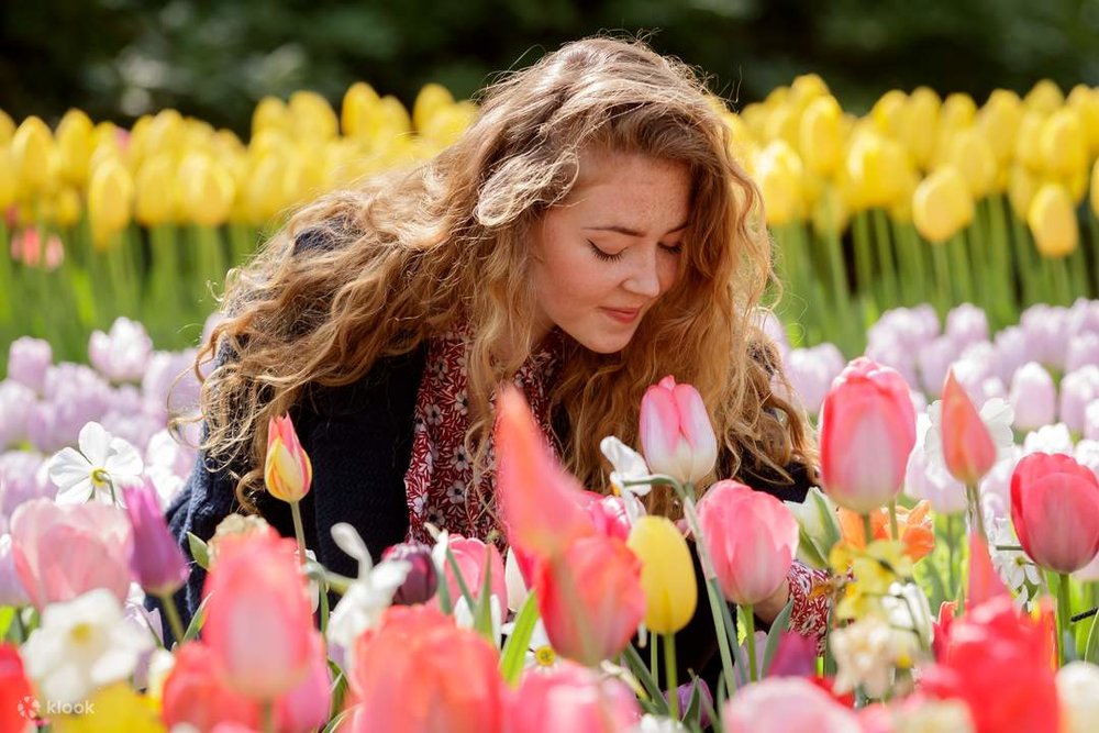 A woman smelling the tulips at Keukenhof during the daytime.