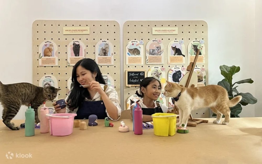 Art Jamming with Cats by Wildflower Studio