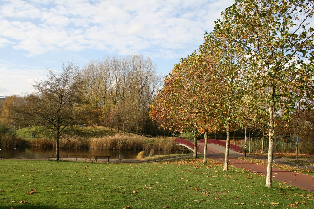 Autumn trees and a red bridge beside a quiet pond in Beatrixpark