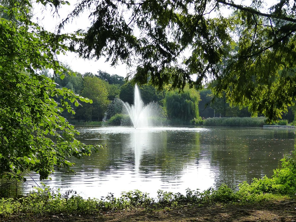 Scenic lake with a fountain framed by lush trees in Oosterpark, Amsterdam