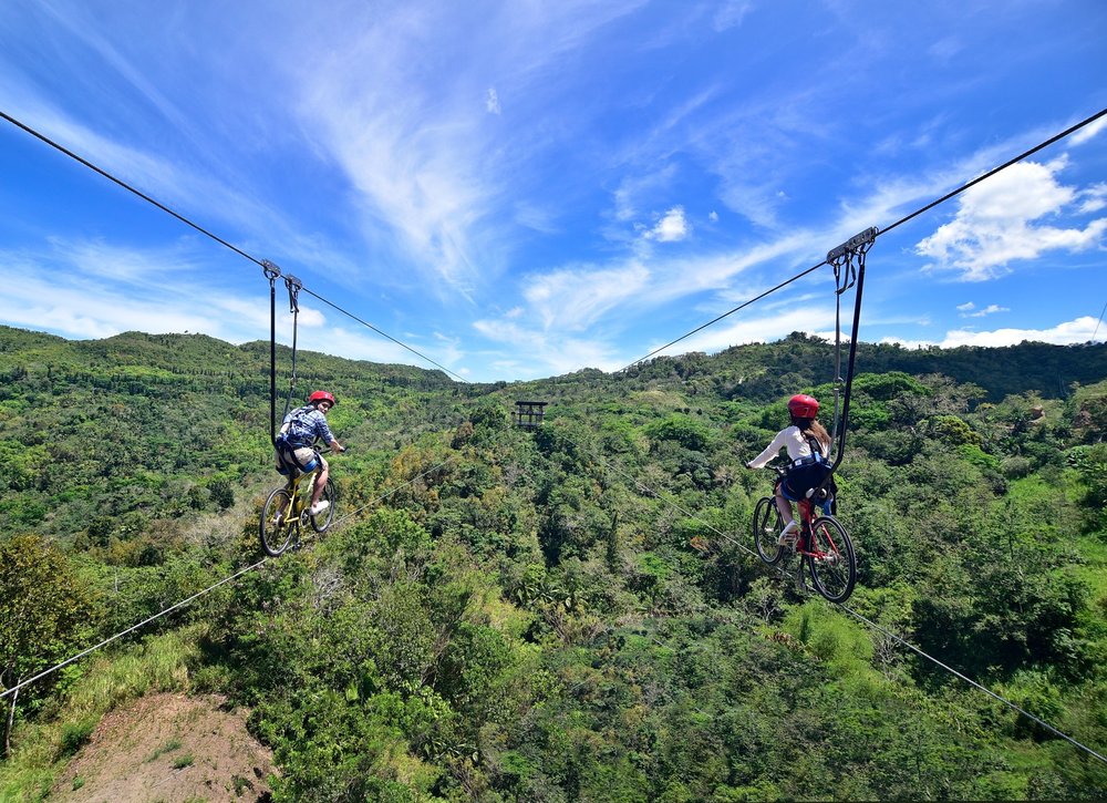 Source: Cebu Safari & Adventure Park/Facebook