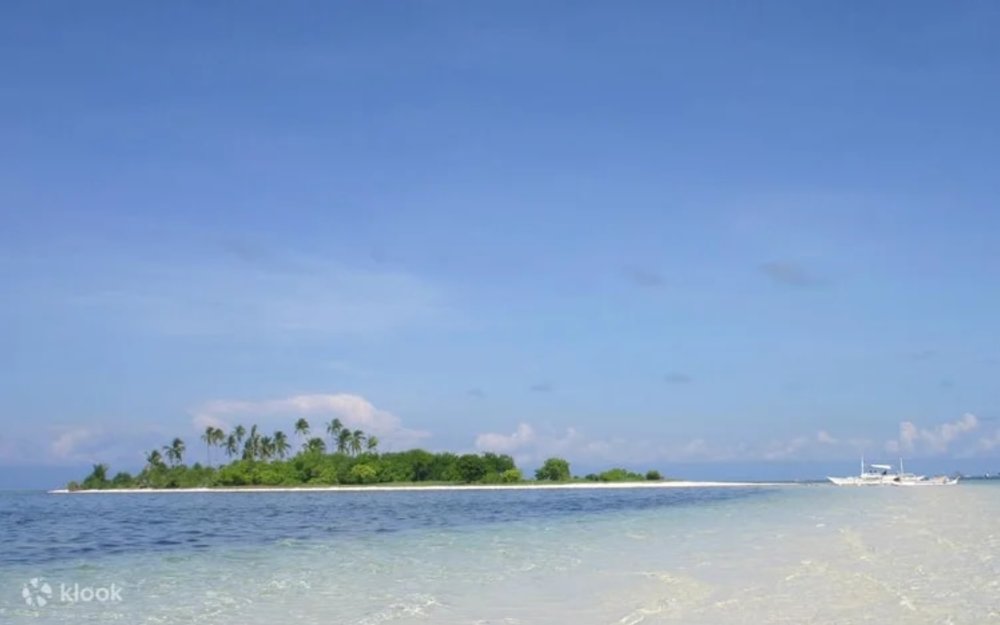 Panglao Island Hopping and Dolphin Watching Tour in Bohol