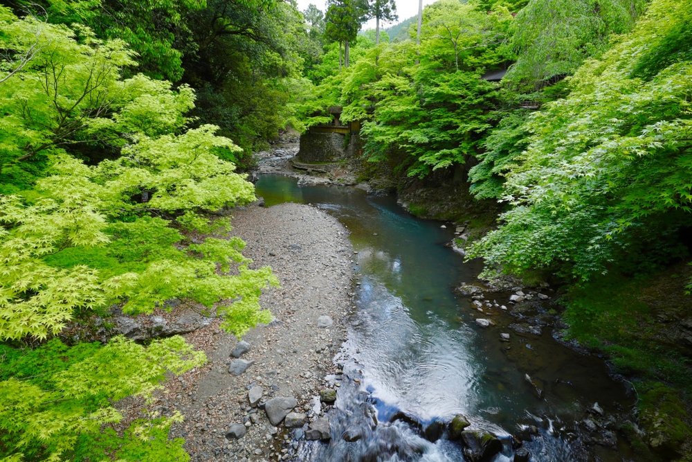 Núi Takao - Ngọn Núi Trekking Nổi Tiếng Gần Tokyo