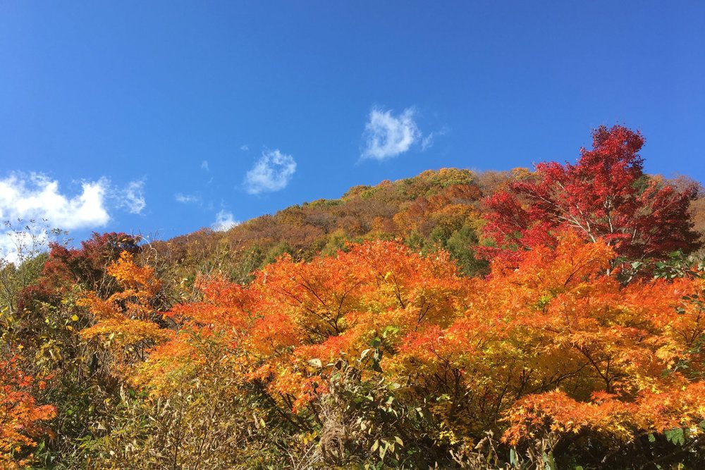 Dãy Núi Hachimantai