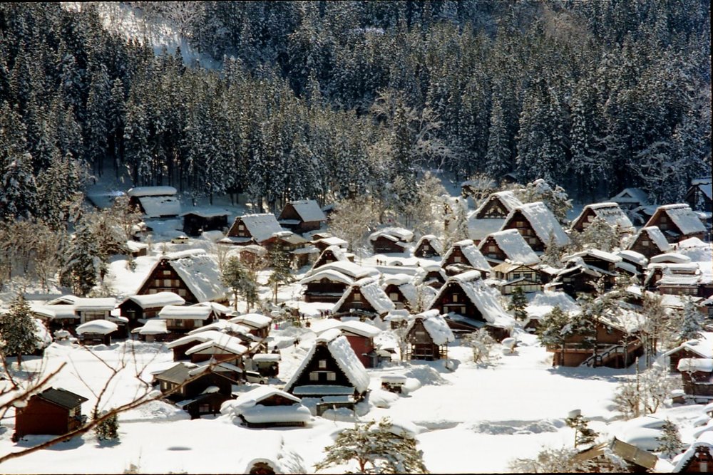 Làng Cổ Shirakawa Go Gifu