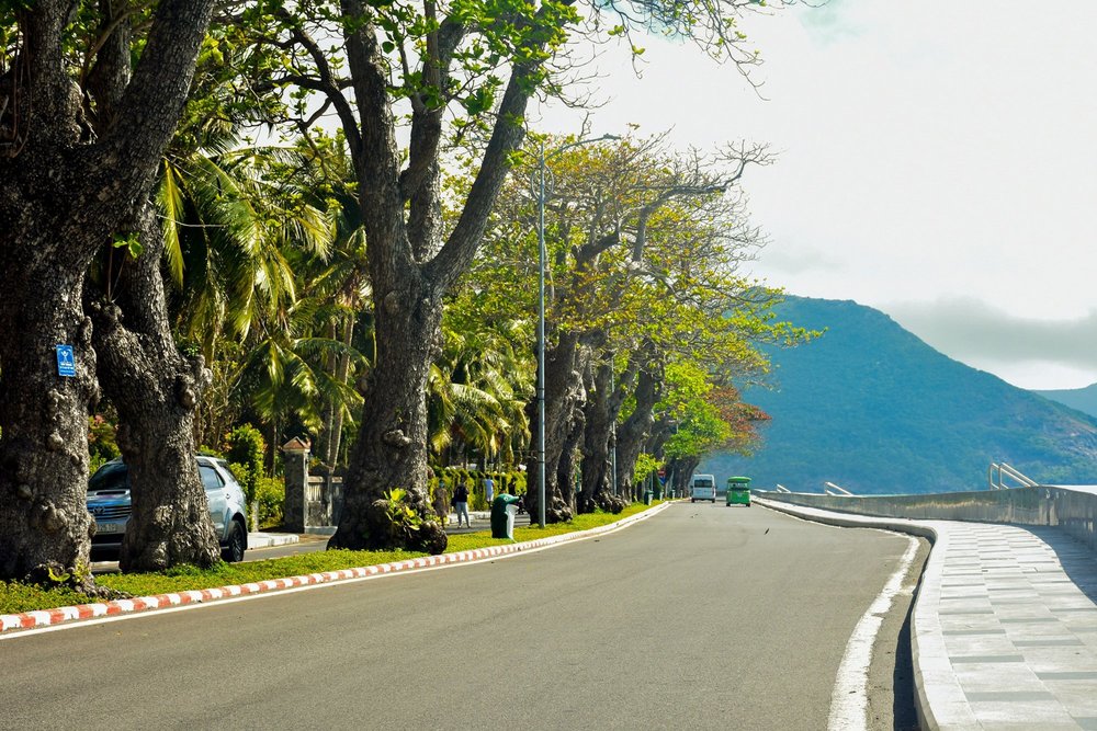 Mũi Cá Mập Côn Đảo