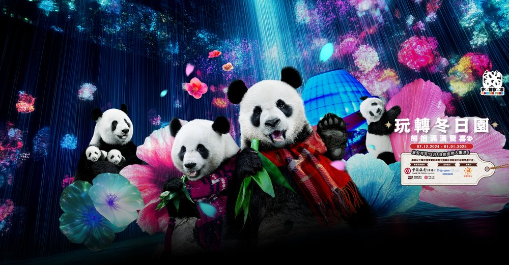 聖誕好去處 室內遊樂場 小朋友好去處 周末假日好去處