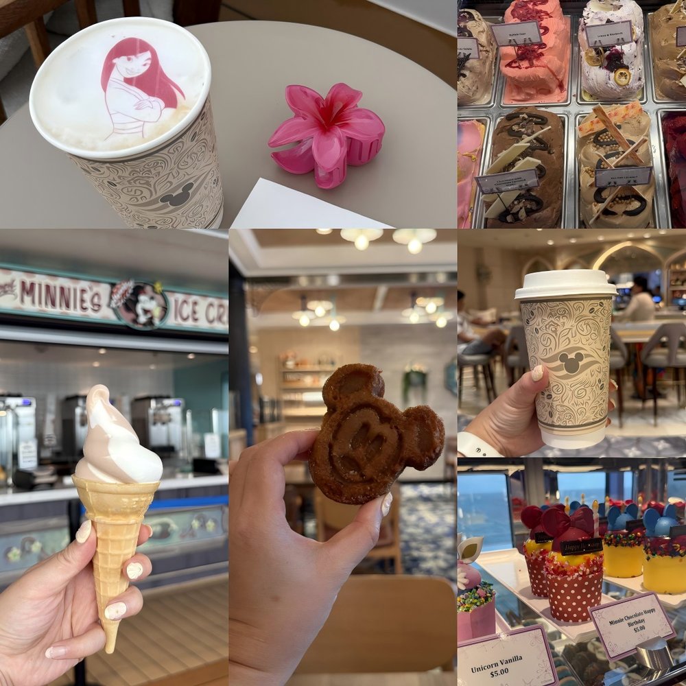 本片段取景自佛罗里达的Disney Wish